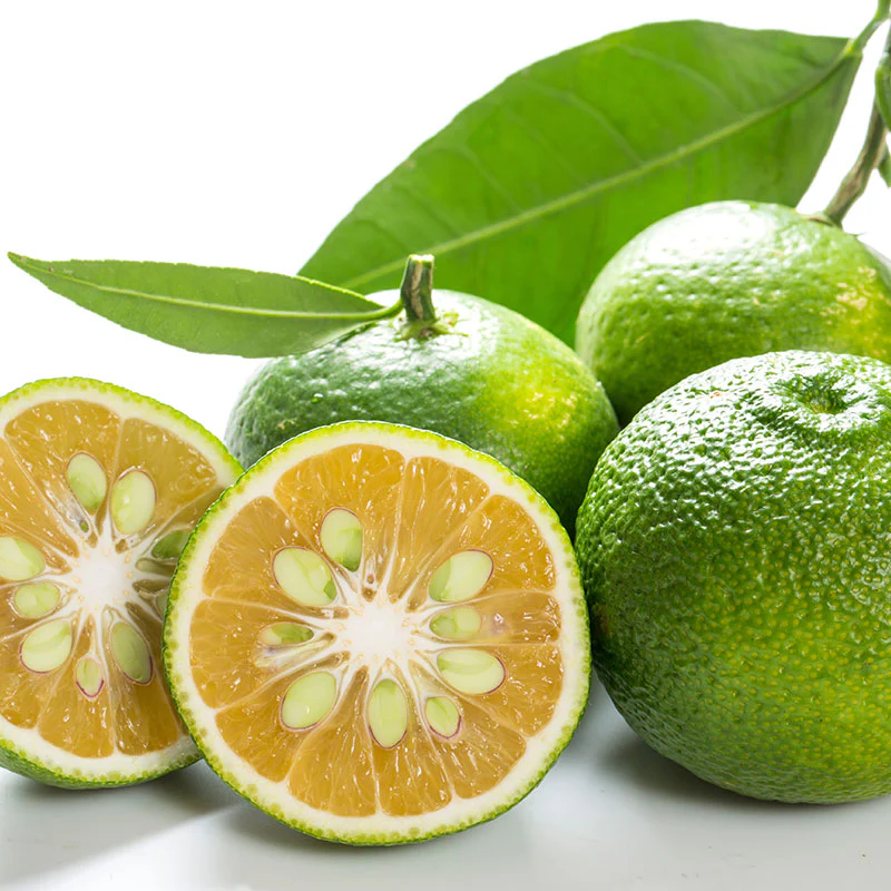 Fresh Sudachi - Image 3