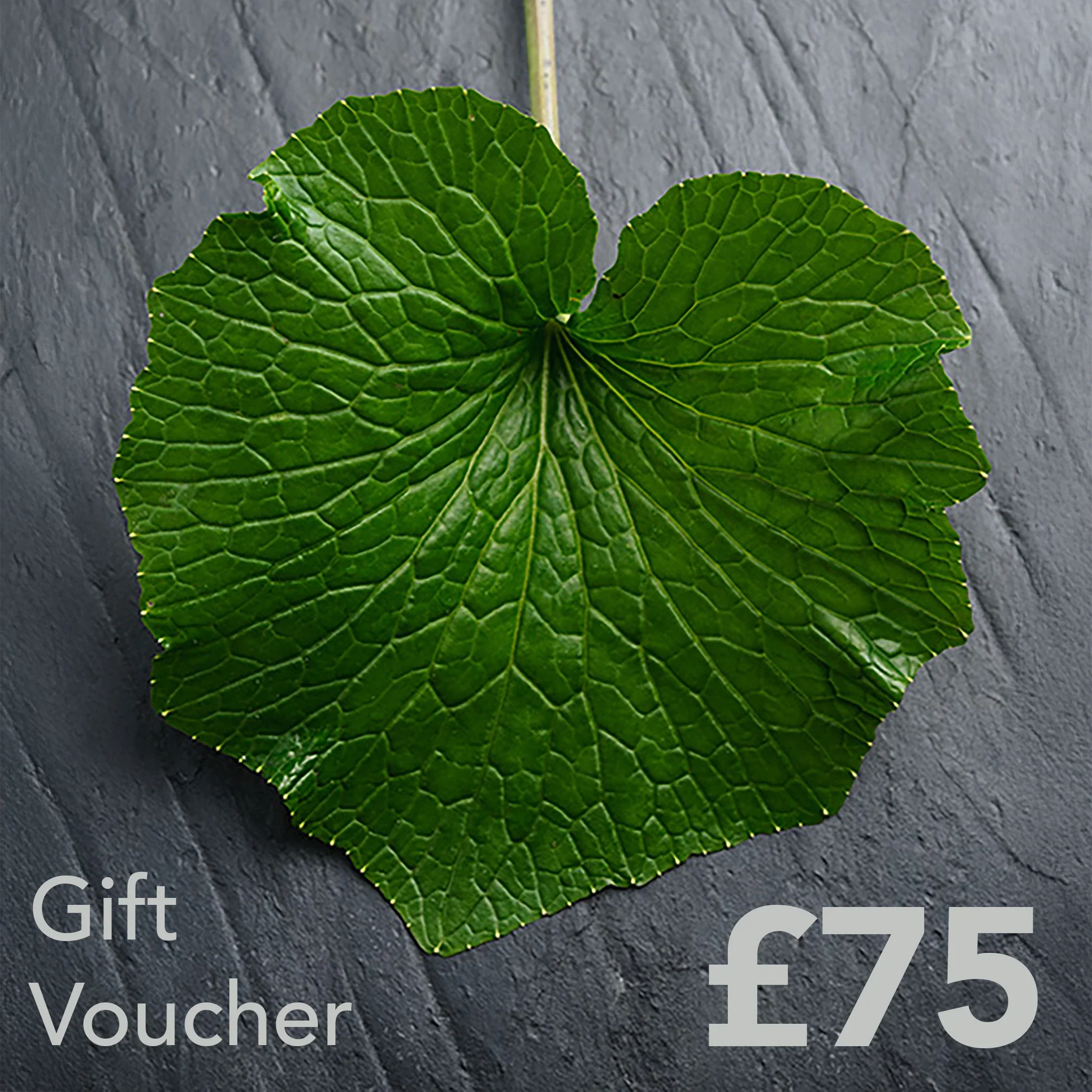 The Wasabi Company Gift Card - Image 9