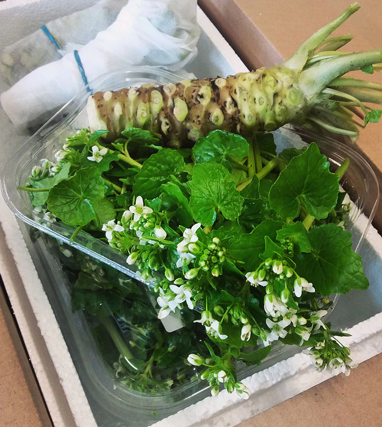 Wasabi Flowers - 50g - Image 3